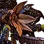 Arachasae