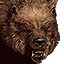 Bears