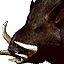 Wild Boars