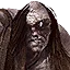 Cyclopses