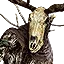 Woodland Spirit