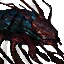 Giant Centipedes
