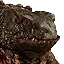 The Toad Prince