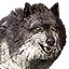 Wolves