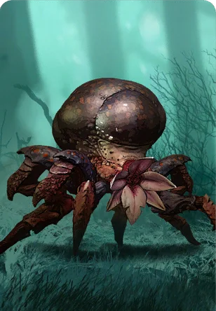 Arachas