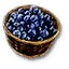 Blueberries