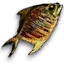 Dried fish