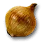 Onion