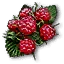 Raspberries