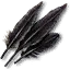Feather