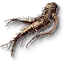 Allspice