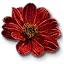 Beggartick blossoms