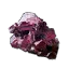 Bryonia