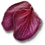 Ginatia petals
