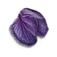 Hellebore petals