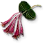 Honeysuckle