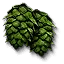 Hop umbels