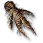 Mandrake root