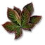 Nostrix
