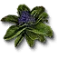 Pringrape