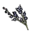 Wolfsbane