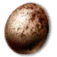 Griffin's egg