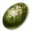 Wyvern egg