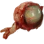 Nekker eye