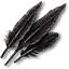 Griffin feathers