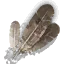 Harpy feathers