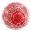 Greater red mutagen