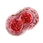 Lesser red mutagen