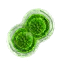 Lesser green mutagen