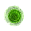 Green mutagen