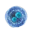 Blue mutagen