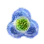 Basilisk mutagen