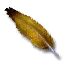 Feather from Vivienne