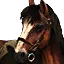Roach